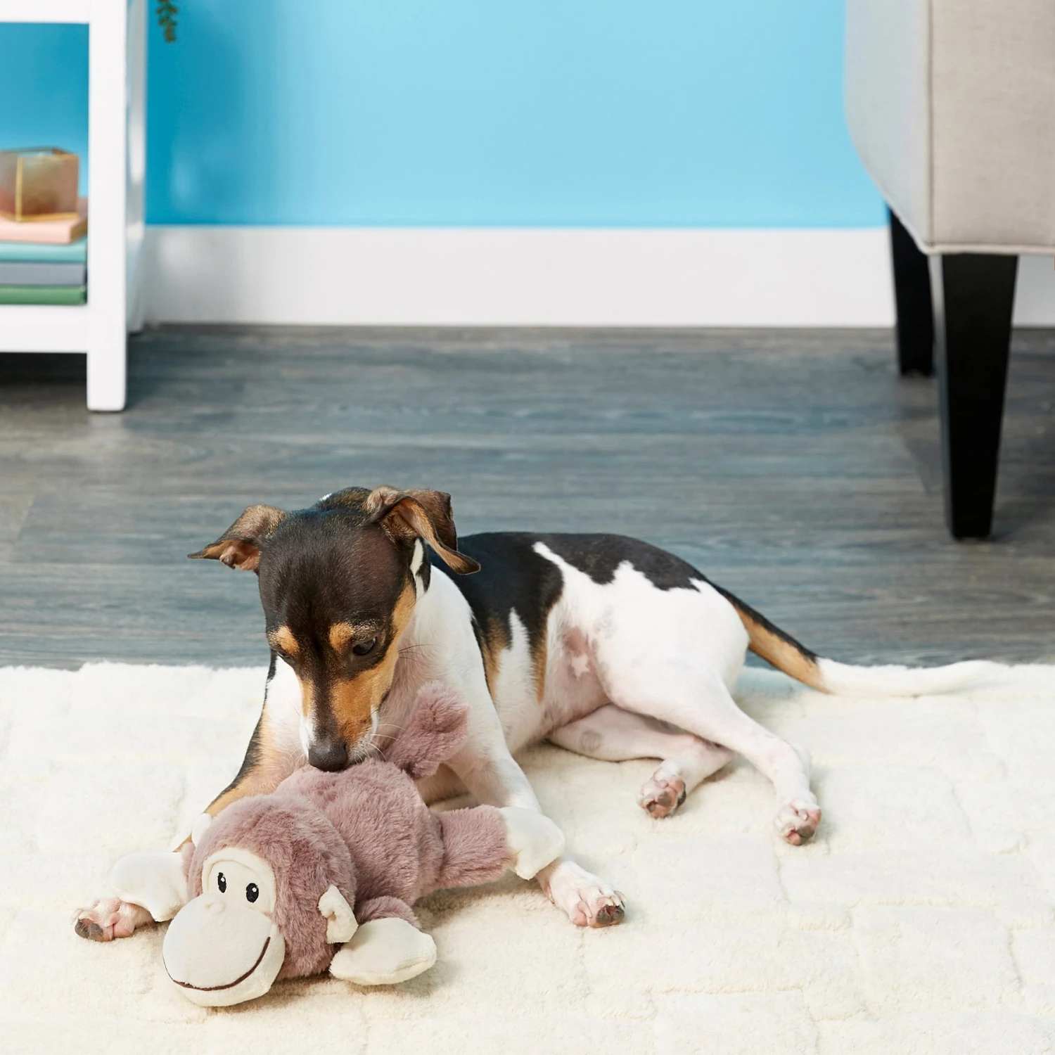 Frisco Monkey Plush Squeaky Dog Toy & Frisco Fox Plush Squeaky Dog Toy 3 Frisco Monkey Plush Squeaky Dog Toy & Frisco Fox Plush Squeaky Dog Toy - Image 3