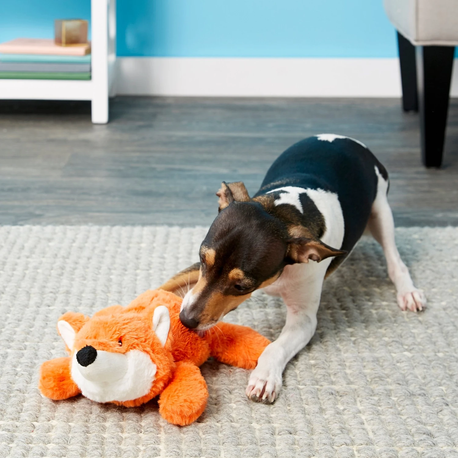 Frisco Monkey Plush Squeaky Dog Toy & Frisco Fox Plush Squeaky Dog Toy 5 Frisco Monkey Plush Squeaky Dog Toy & Frisco Fox Plush Squeaky Dog Toy - Image 5