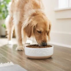 Frisco Paw Prints Non-skid Ceramic Bowl 8 Frisco Paw Prints Non-skid Ceramic Bowl -Dog - Cat Shop 256072 PT2. AC SS1800 V1615311738