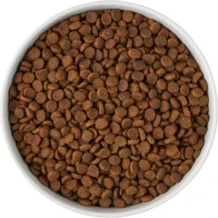 Frisco Paw Prints Non-skid Ceramic Bowl 11 Frisco Paw Prints Non-skid Ceramic Bowl -Dog - Cat Shop 256072 PT5. AC SS1800 V1615312318