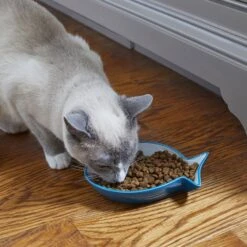 Frisco Fish Shaped Non-skid Ceramic Cat Dish -Dog - Cat Shop 256109 PT3. AC SS1800 V1617196297