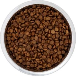 Frisco Black Iron Non-Skid Stainless Steel Dog & Cat Bowl -Dog - Cat Shop 257152 PT4. AC SS1800 V1615311427