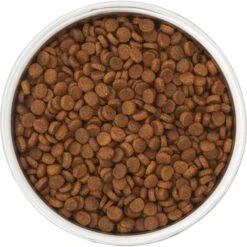 Frisco Insulated Two-Toned Non-Skid Stainless Steel Dog & Cat Bowl 11 Frisco Insulated Two-Toned Non-Skid Stainless Steel Dog & Cat Bowl -Dog - Cat Shop 257168 PT4. AC SS1800 V1612367255