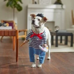 Frisco Front Walking French Artist Dog & Cat Costume -Dog - Cat Shop 260956 PT8. AC SS1800 V1689623916