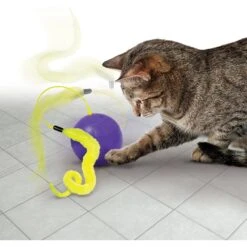 KONG Purrsuit Whirlwind Replacement Tails Cat Toy, 2 Count -Dog - Cat Shop 261253 PT2. AC SS1800 V1631773890