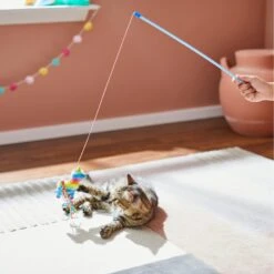 Frisco Pinata Teaser Wand Cat Toy With Catnip -Dog - Cat Shop 264446 PT3. AC SS1800 V1618948636