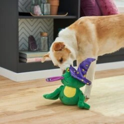 Frisco Magic Wizard Frog Plush Squeaky Dog Toy -Dog - Cat Shop 265588 PT3. AC SS1800 V1620939075