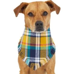 Frisco Blue/Yellow Plaid Dog & Cat Flannel Bandana -Dog - Cat Shop 267901 PT2. AC SS1800 V1637717796
