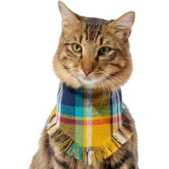 Frisco Blue/Yellow Plaid Dog & Cat Flannel Bandana -Dog - Cat Shop 267901 PT3. AC SS1800 V1637677287