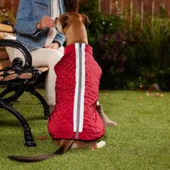 Frisco Mediumweight Reflective 2-in-1 Dog & Cat Fleece Coat -Dog - Cat Shop 268359 PT8. AC SS1800 V1629759326