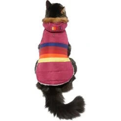 Frisco Mediumweight Colorblock Adventure Insulated Dog & Cat Parka -Dog - Cat Shop 268421 PT2. AC SS1800 V1628779779