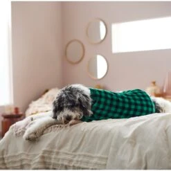 Frisco Dog & Cat Cozy Plush Fleece PJs, Green Plaid -Dog - Cat Shop 268517 PT8. AC SS1800 V1629755447