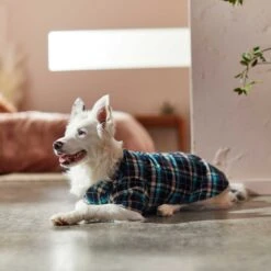 Frisco Multi-Plaid Dog & Cat Flannel Shirt -Dog - Cat Shop 268588 PT7. AC SS1800 V1637674022