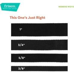 Frisco Midnight Floral Cat Collar -Dog - Cat Shop 269490 PT6. AC SS1800 V1629992485