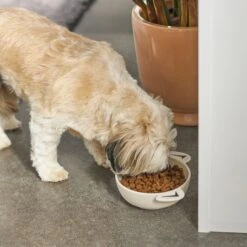 Frisco Dog Face Non-skid Ceramic Cat & Dog Bowl -Dog - Cat Shop 270226 PT2. AC SS1800 V1620762156