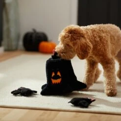 Frisco Halloween Haunted Tree Hide & Seek Puzzle Plush Squeaky Dog Toy -Dog - Cat Shop 270488 PT3. AC SS1800 V1624817078