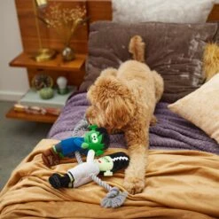 Frisco Halloween Frankenstein & Bride Plush With Rope Squeaky Dog Toy -Dog - Cat Shop 270496 PT3. AC SS1800 V1624824775