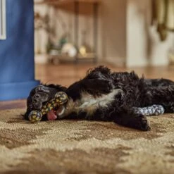 Frisco Halloween Candy Corn & Ghosts TPR Bone Squeaky Dog Toy, 2 Count -Dog - Cat Shop 270529 PT3. AC SS1800 V1689876508