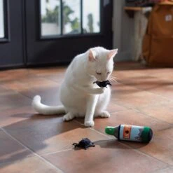 Frisco Camping Bug Spray Plush Cat Toy With Catnip, 3 Count -Dog - Cat Shop 270969 PT3. AC SS1800 V1625009346