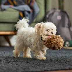 Frisco Camping Hedgehog Plush Squeaky Dog Toy -Dog - Cat Shop 270995 PT3. AC SS1800 V1625009251