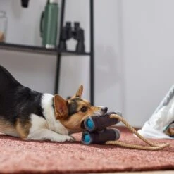 Frisco Camping Binoculars Plush With Rope Squeaky Dog Toy -Dog - Cat Shop 271009 PT3. AC SS1800 V1625009167