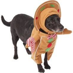 Frisco Front Walking Gingerbread Dog & Cat Costume -Dog - Cat Shop 276156 PT3. AC SS1800 V1631660334