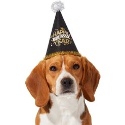 Frisco Happy New Year Dog & Cat Hat -Dog - Cat Shop 276190 PT2. AC SS1800 V1631303599