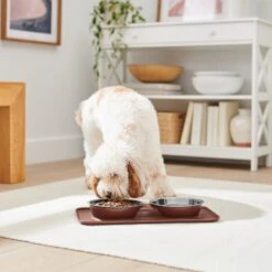 Frisco Silicone Stainless Steel Double Diner Dog & Cat Bowl, Brown -Dog - Cat Shop 277551 PT2. AC SS1800 V1630346531