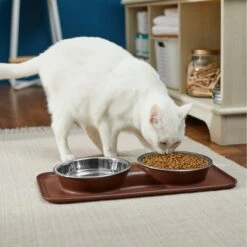 Frisco Silicone Stainless Steel Double Diner Dog & Cat Bowl, Brown -Dog - Cat Shop 277551 PT3. AC SS1800 V1630348104