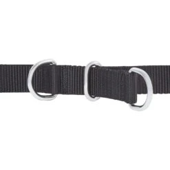 Frisco Basic No Pull Harness -Dog - Cat Shop 277873 PT2. AC SS1800 V1629760100