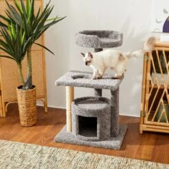 Dog - Cat Shop 42 Frisco 37-in Real Carpet Cat Tree With Condo, Grey