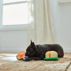 Frisco Fall Pancakes & Maple Syrup Plush Squeaky Dog Toy, 2 Count -Dog - Cat Shop 285627 PT3. AC SS1800 V1629725170