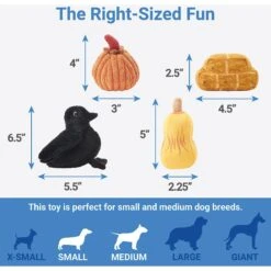 Frisco Fall Farmhouse Hide & Seek Puzzle Plush Squeaky Dog Toy -Dog - Cat Shop 285629 PT2. AC SS1800 V1636990881