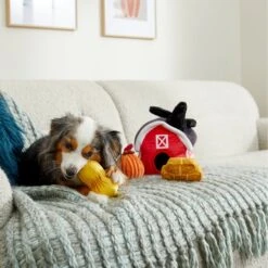 Frisco Fall Farmhouse Hide & Seek Puzzle Plush Squeaky Dog Toy -Dog - Cat Shop 285629 PT3. AC SS1800 V1629725107