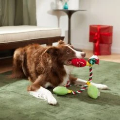Frisco Holiday Lights Plush With Rope Squeaky Dog Toy -Dog - Cat Shop 287109 PT3. AC SS1800 V1632775707