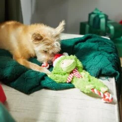 Frisco Holiday Monkey Plush With Rope Squeaky Dog Toy -Dog - Cat Shop 287115 PT3. AC SS1800 V1632774182