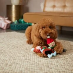Frisco Holiday Carolers Plush Squeaky Dog Toy, 3 Count -Dog - Cat Shop 287169 PT3. AC SS1800 V1632774907