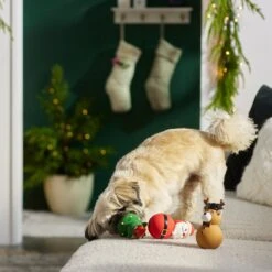 Frisco Holiday Santa & Friends Latex Squeaky Dog Toy -Dog - Cat Shop 287181 PT3. AC SS1800 V1632775363