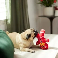 Frisco Holiday Naughty Or Nice Gingerbread Man Reversible Plush Squeaky Dog Toy -Dog - Cat Shop 287217 PT3. AC SS1800 V1632775304