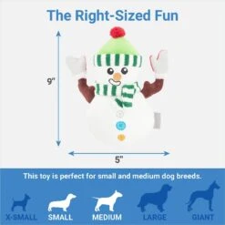 Frisco Holiday Naughty Or Nice Snowman Reversible Plush Squeaky Dog Toy -Dog - Cat Shop 287219 PT2. AC SS1800 V1637704003