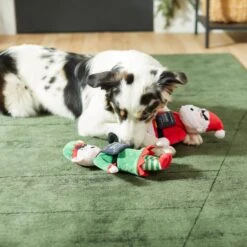 Frisco Holiday Bad Santa & Elf Plush Squeaky Dog Toy -Dog - Cat Shop 287223 PT3. AC SS1800 V1632773570