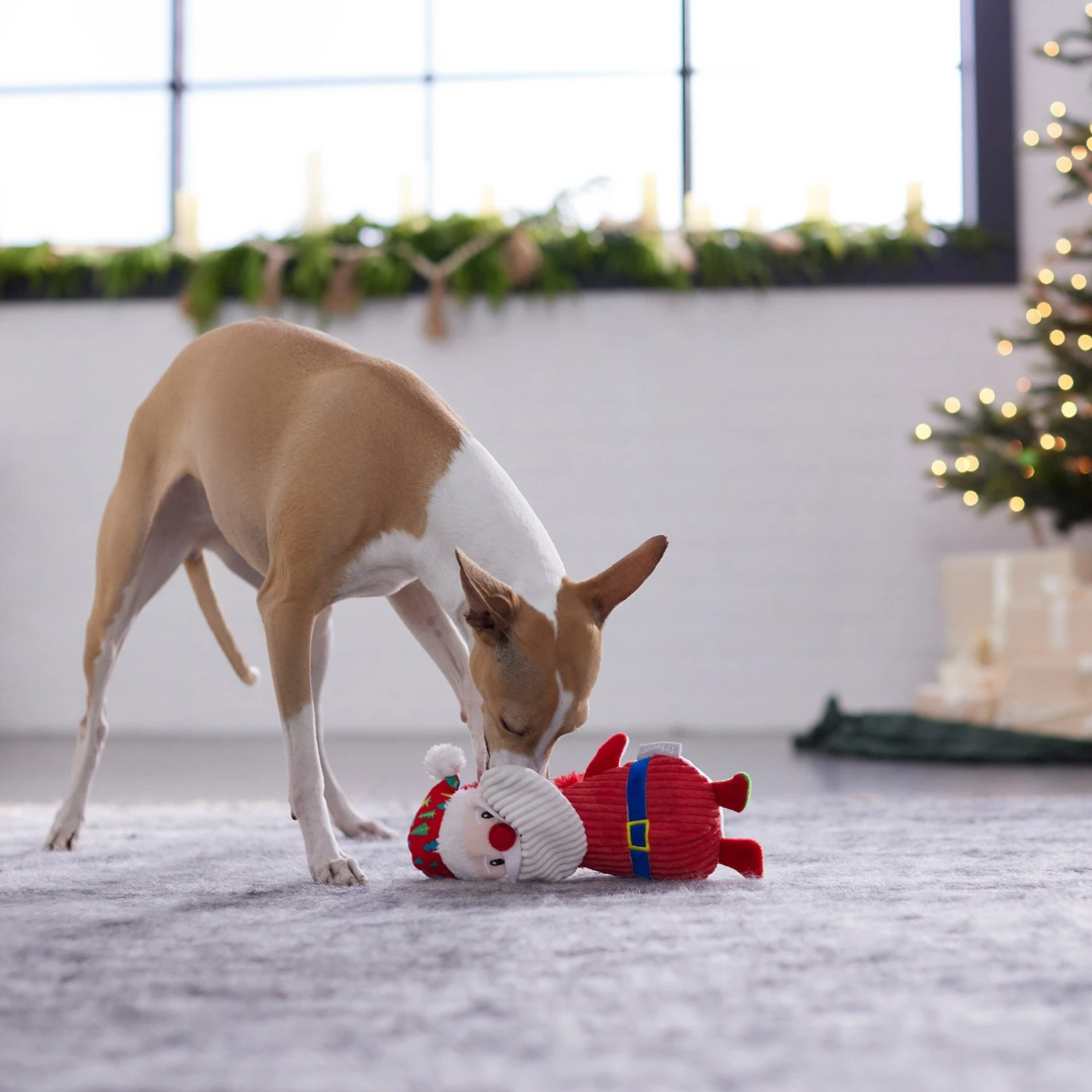Frisco Holiday Santa & Snowman Reversible Plush Squeaky Dog Toy 4 Frisco Holiday Santa & Snowman Reversible Plush Squeaky Dog Toy - Image 4