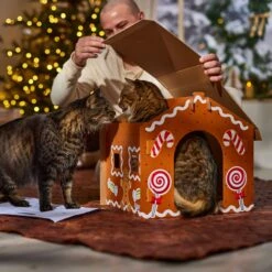 Frisco Holiday Gingerbread House Cardboard Cat House Cat Toy -Dog - Cat Shop 287289 PT3. AC SS1800 V1695046487