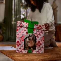 Frisco Holiday Gift Box Cardboard Cat House -Dog - Cat Shop 287291 PT3. AC SS1800 V1695043502