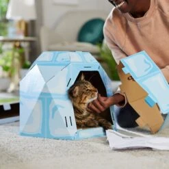 Frisco Igloo Cardboard Cat House -Dog - Cat Shop 287293 PT3. AC SS1800 V1692035199