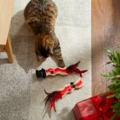 Frisco Holiday Bacon Plush Cat Toy With Catnip, 2 Count -Dog - Cat Shop 287377 PT3. AC SS1800 V1632773555