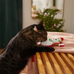 Frisco Naughty Or Nice Snowman Reversible Plush Cat Toy With Catnip -Dog - Cat Shop 287387 PT3. AC SS1800 V1632774541
