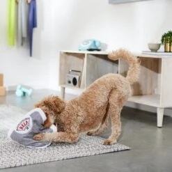 Frisco Scale Plush Squeaky Dog Toy -Dog - Cat Shop 288911 PT3. AC SS1800 V1638289585