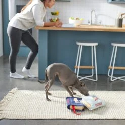 Frisco Cookbooks Plush Squeaky Dog Toy, 2 Count -Dog - Cat Shop 288937 PT3. AC SS1800 V1638287852