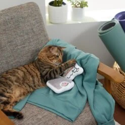 Frisco Scale & Message Bubble Plush Cat Toy With Catnip, 2 Count -Dog - Cat Shop 288959 PT3. AC SS1800 V1638288401